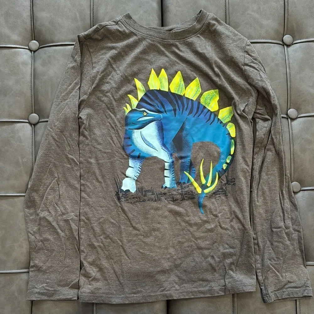 Dinosaur Graphic Kids Long Sleeve Shirts - Black & Gray